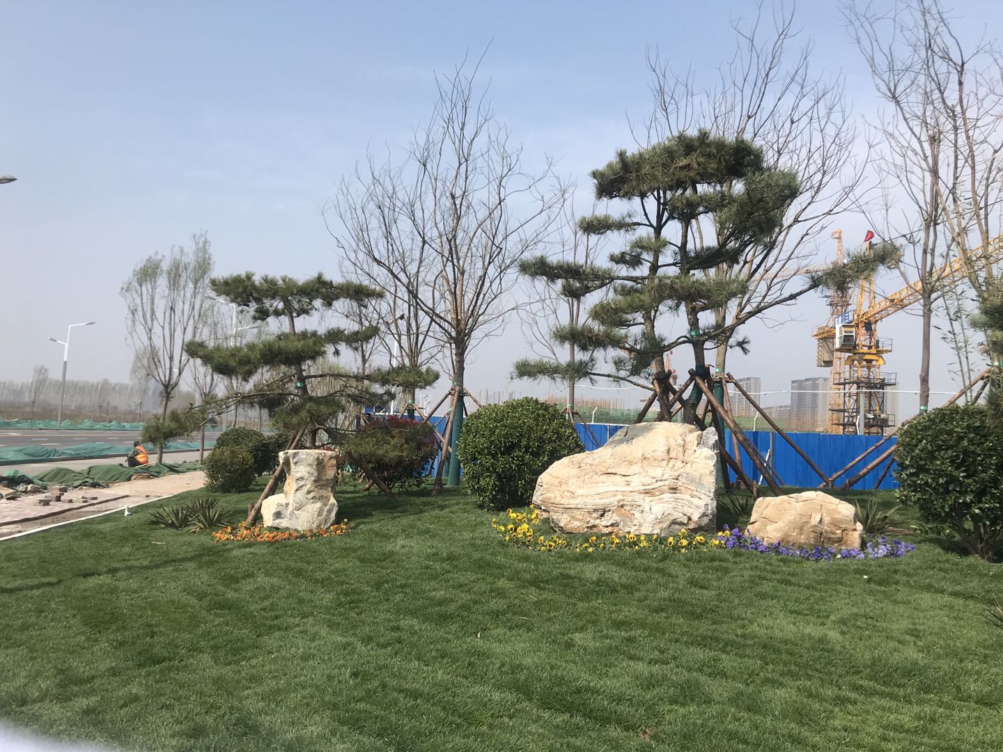 1646035354181735.jpg 微信图片_20200331113212.jpg